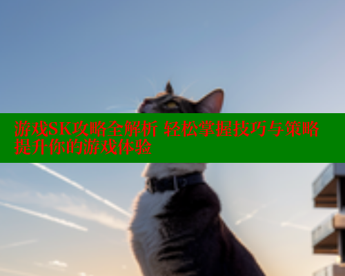 游戏SK攻略全解析 轻松掌握技巧与策略提升你的游戏体验 44 第2张